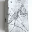 Temnitschka_Anbetung_2026_Zeichnung-Papier-verleimt-Buch_13x8°5_0k35.jpg