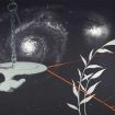 Leverenz_Universum-Enterprise_2026_Siebdruck_70x100_0k67.JPG