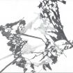 Paschke_bluedaysNr165_2020_Zeichnung-Papier_20x30_1k3.JPG